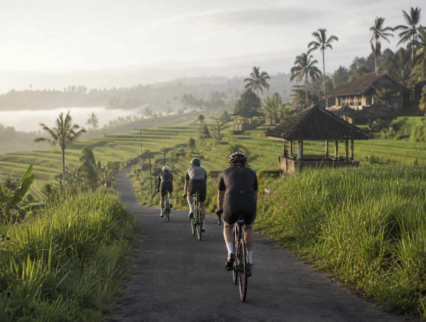 Three cyclists riding a quiet lane through the Jatiluwih rice terraces at first light, with palms, mist and traditional pavilions in the distance